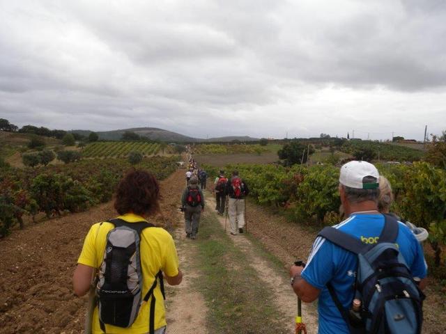 9ª MARCHA dos FORTES® - 4ª etapa já em Loures