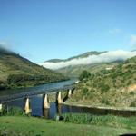 Douro e Tua