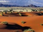 SOSSUSVLEI-NAMIB