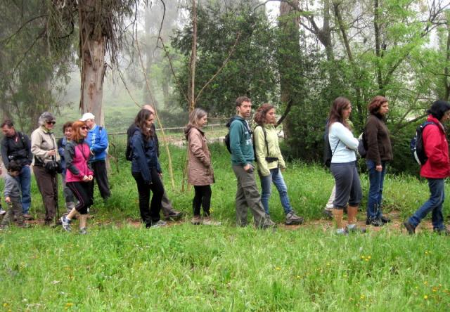 Parque Florestal de Monsanto