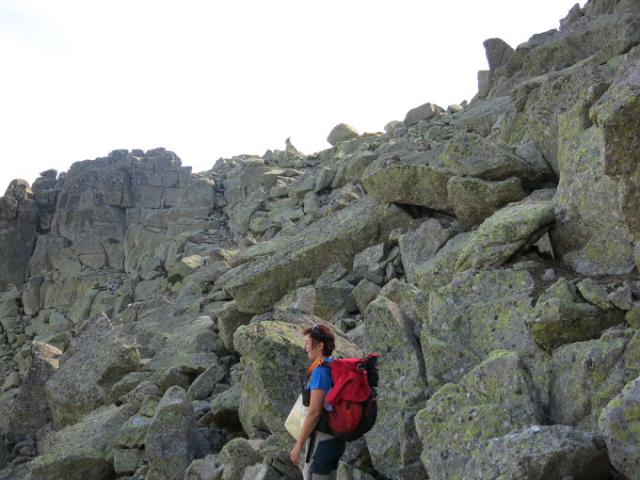 O GDAO em Gredos