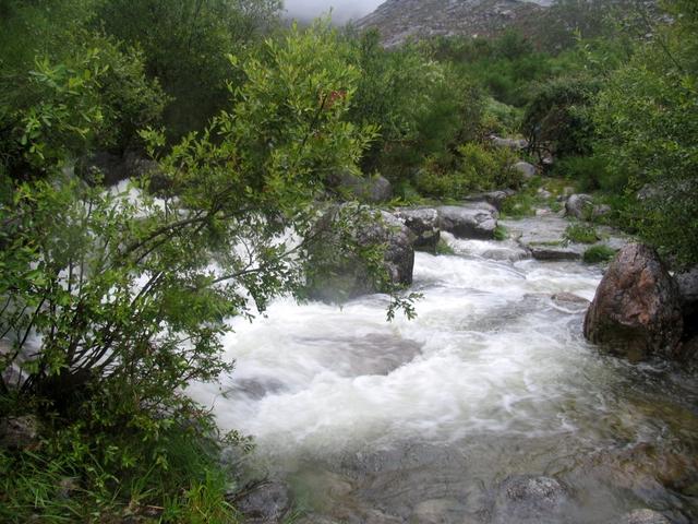A corguinha de Vilarinho era um rio que tapava o caminho!