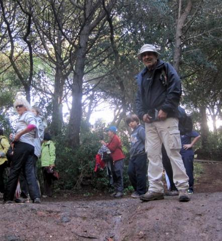 Parque Florestal de Monsanto