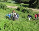 Parque Florestal de Monsanto