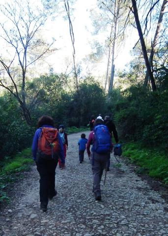 Parque Florestal de Monsanto