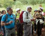 Parque Florestal de Monsanto