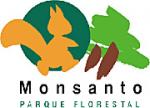 O Parque Florestal de Monsanto1