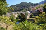 Ponte do Tedo.jpg