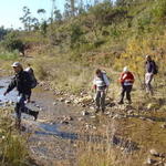 Ribeiro do Falacho II