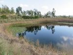 Lago, piscina e nenúfares na Barroca