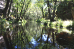 O GDAO pelas Ribeiras das Barrocas e Alferreireira