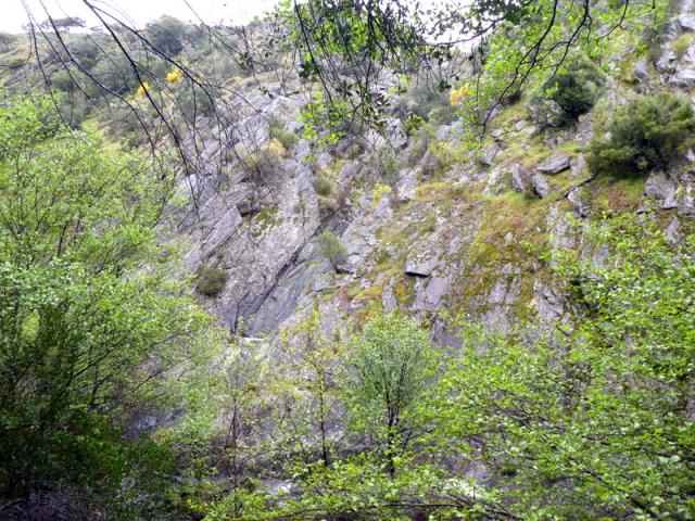 Ribeiras das Barrocas e Alferreireira