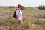 Alentejo à beira de água