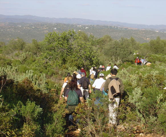 Monte Figo - Algarve