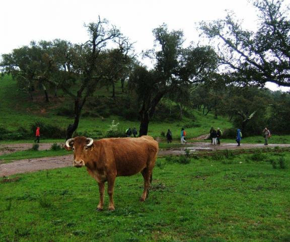 Alentejo à beira de água