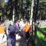 Parque Florestal de Monsanto