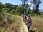 Parque Florestal de Monsanto