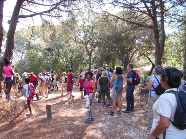 Parque Florestal de Monsanto