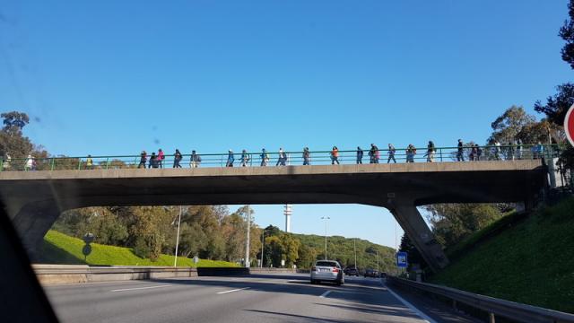 Gostei de ver um grupo tão grande e animado a andar por Monsanto.