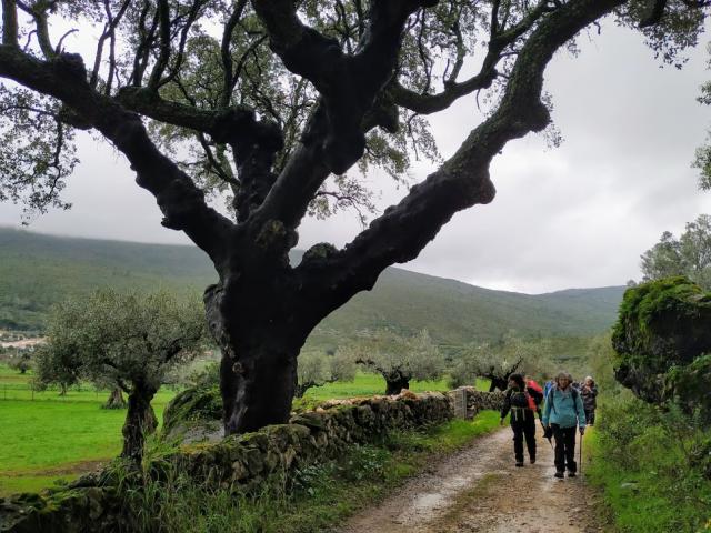 Caminhos de Fátima