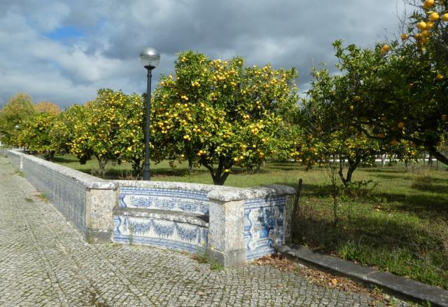 Várzea de Loures