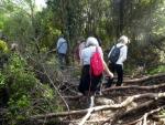 Parque Florestal de Monsanto