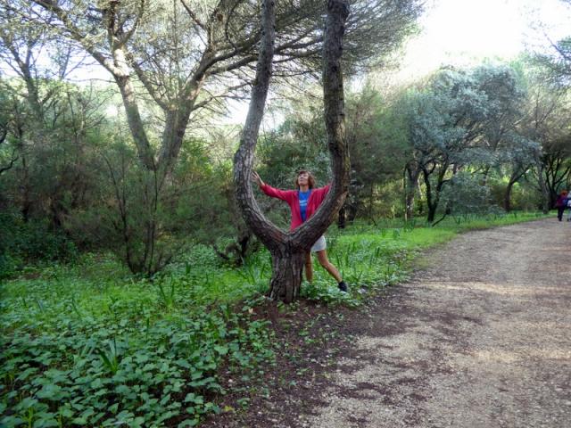 Parque Florestal de Monsanto