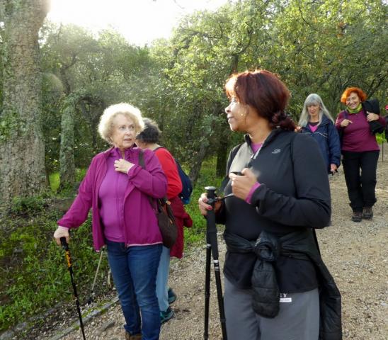 Parque Florestal de Monsanto