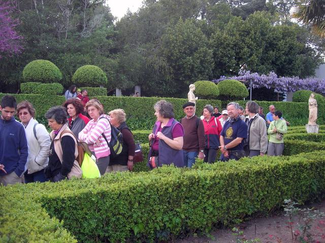 Jardim à francesa...