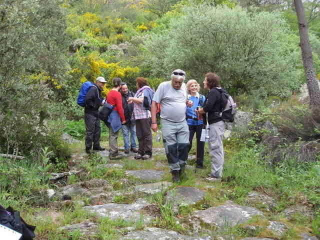 Poldras na Ribeira do Freixo