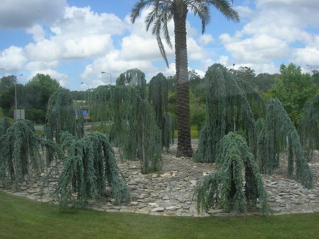 Rotunda na Batalha