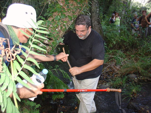 Directamente da Alemanha para a ribª da Foz...