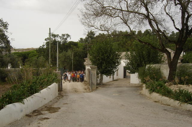 Chegada à Quinta do Morgado Lusitano (para ver as outras etapas, clicar na barra superior verde em Outubro)