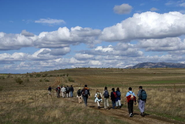 Em direcção ao Cerro de Hornachuelos