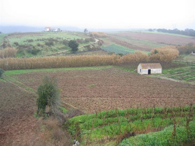 Terras férteis do Oeste