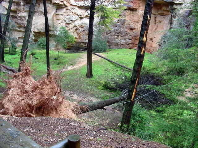 Efeitos do temporal no Parque da Pedra