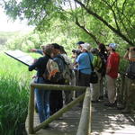 Parques Naturais de Andaluzia