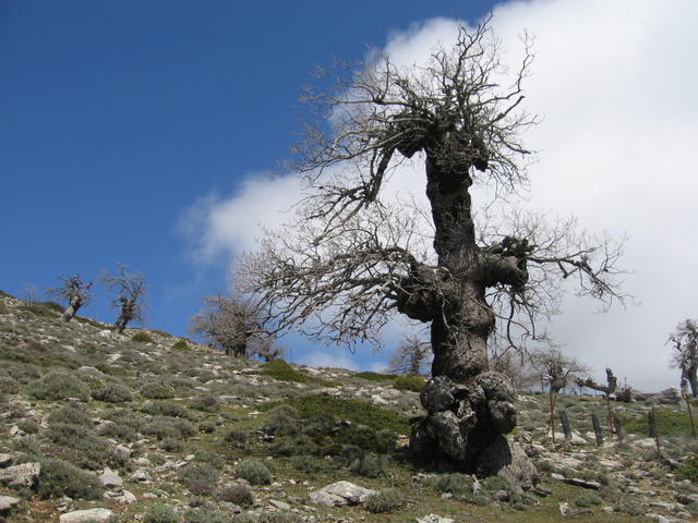 Parques Naturais de Andaluzia