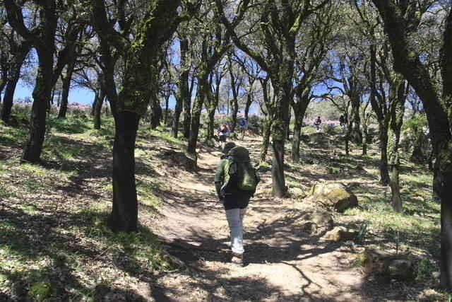 Parques Naturais de Andaluzia