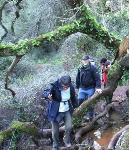 Serra de S. Luis