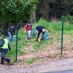 Limpar Portugal - Monsanto