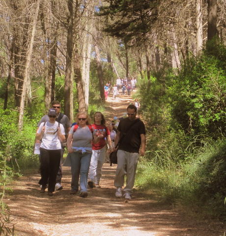 Descendo à sombra