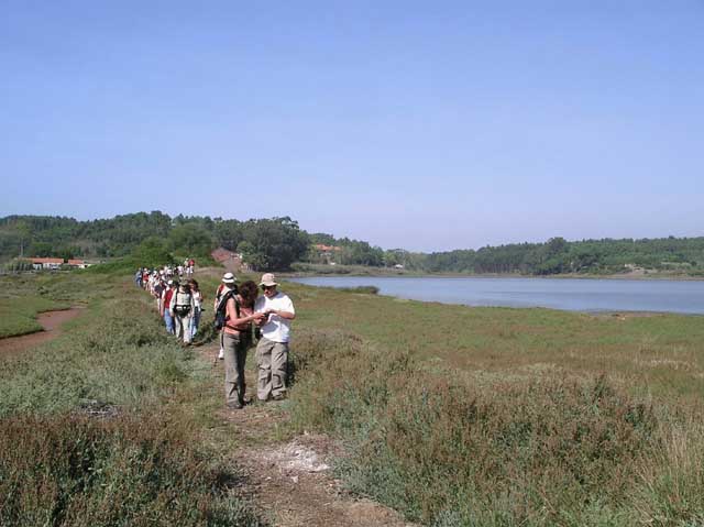 Vista do braço da lagoa na Barrosa