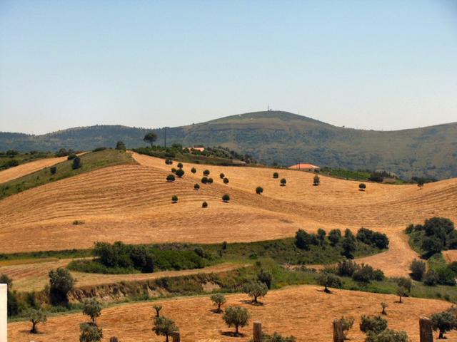 Parece o Alentejo!