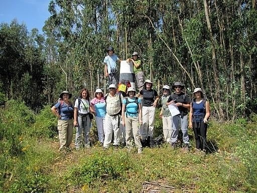 Serra do Balas - M. G. da Forca