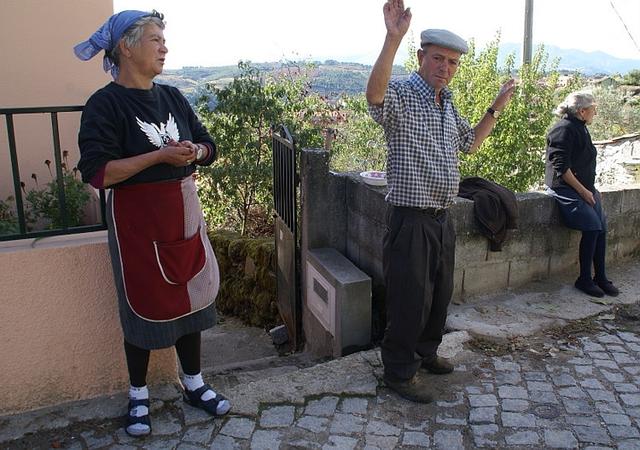 Há uvas para todos! Esperem um pouco!