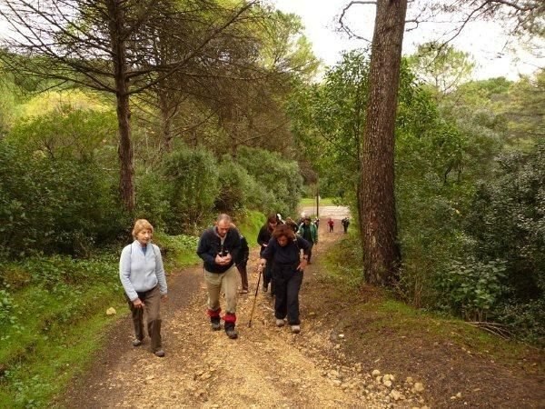 Parque Florestal de Monsanto