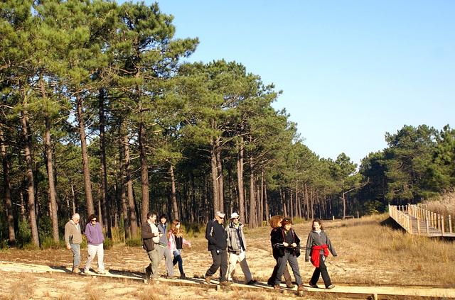 Caminhando e conversando