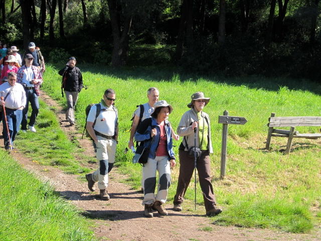 Parque Florestal de Monsanto