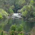 Rio Vouga, em Ermida (Sever do Vouga)